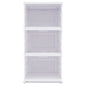 3-Tier Collapsible Shoe Organizer, Clear/White